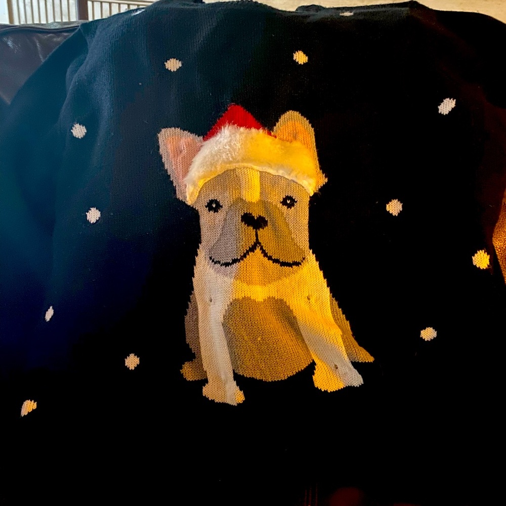 French Bull Dog sweater with lights